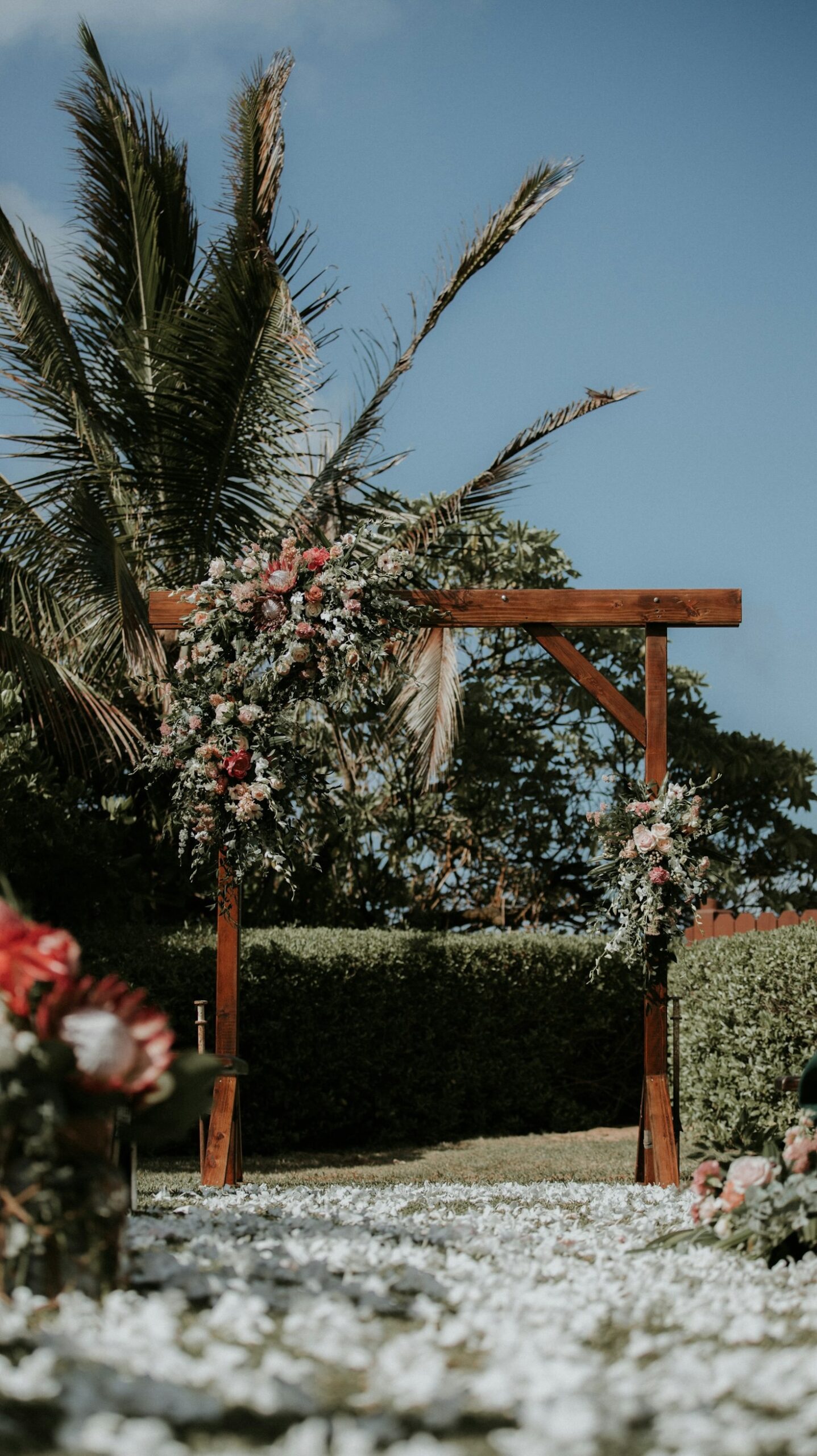Blog Post 7